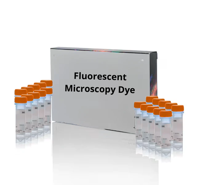 [Fluo-0182] DiBAC4(5) [Bis-(1,3-dibutylbarbituric acid)pentamethine oxonol] - 25 mg