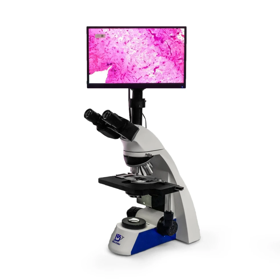 Research Grade Biological microscope + 11.6 inch display screen