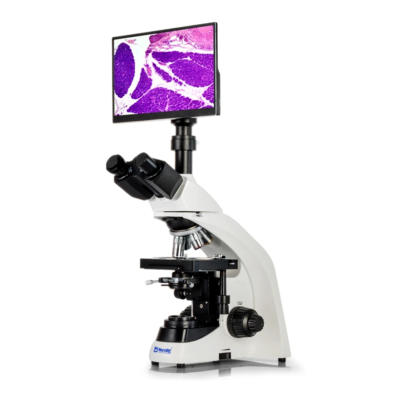 Biological microscope +11.6-inch display screen Wide field plan eyepiece WF10X (Φ20mm)