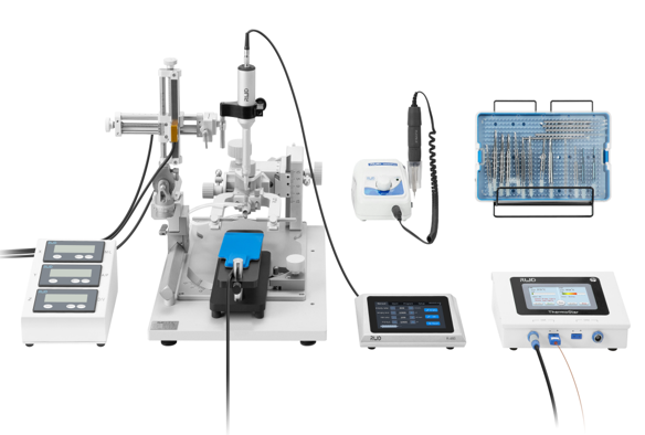 [69112-sf] Rat Anesthesia Adapter with Tubing